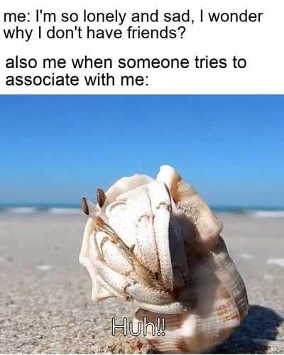 do I want friends, well yes but actually no