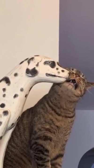 Somebody is in dire need of a friend