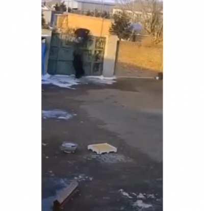 The door had it out for him.