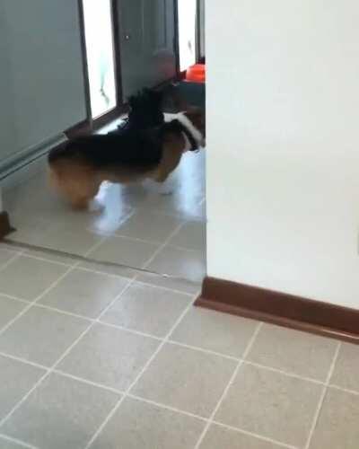 The Fast and the Furious: Corgyo Drift