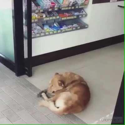 Когда лень....