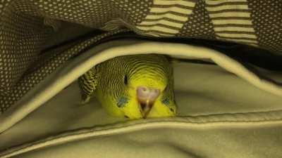 Baby Likes to Keep Warm