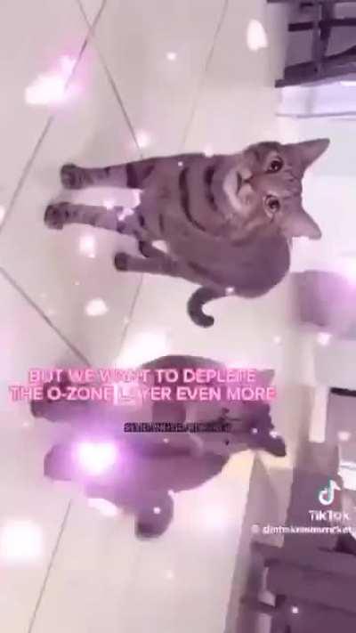 Lunker fighting climate change in the side of fossil fuels