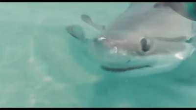 Doom müziği olur gibi