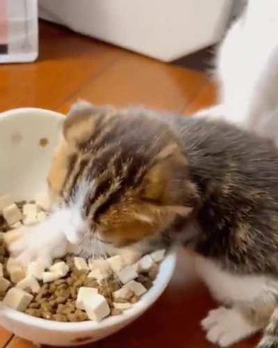 Nooo, it's all mine!!!