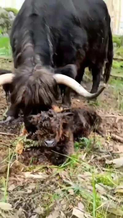 These first moments are always so precious! ❤️