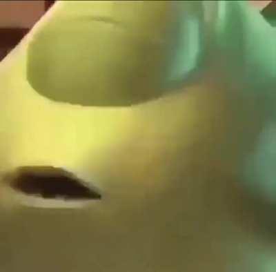 mds.....(não sei o nome do criador)