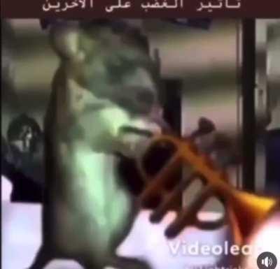 Hepinizi bu video ile sınava uğurluyorum dostlar