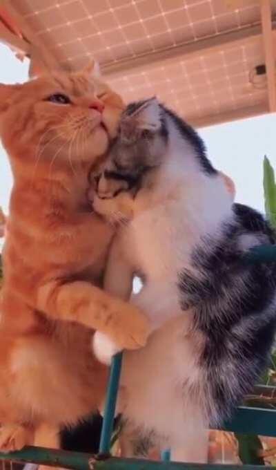 What are you looking at?