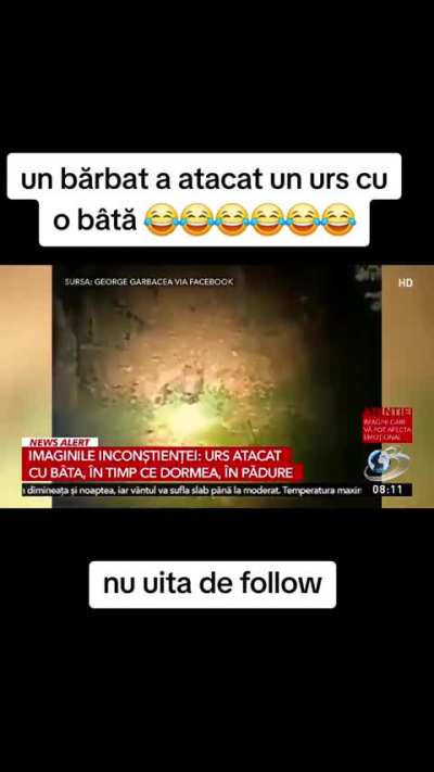 100 bărbați vs 1 gorilă? ❌ 1 român cu bâta vs un urs ✅