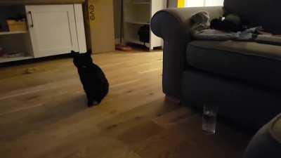 You guys seemed to enjoy my last post, so here's 3 minutes of yelling that I recorded over the last few days.