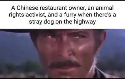 Showdown for the hound