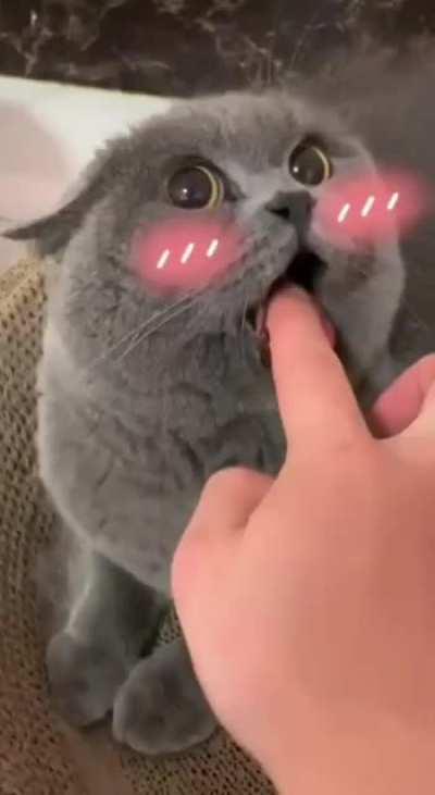 За любой движ