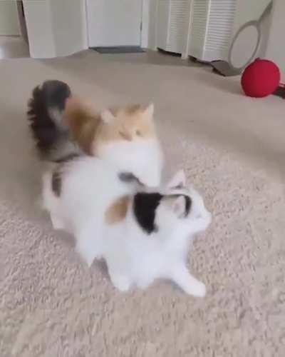 it's a satisfying game sequence.