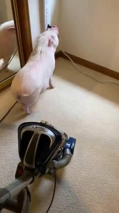 To vacuum