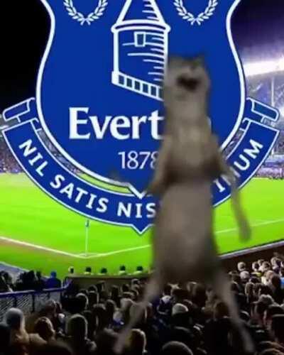 🤘🏻🤘🏻🤘🏻🐺🐺🐺