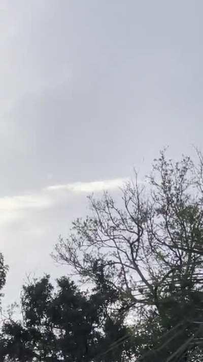 Any idea what this long floating object could be? Yesterday 8/20/2022 over N Charleston/Summerville, SC near the AFB/airport and Ashley river at 7:30pm
