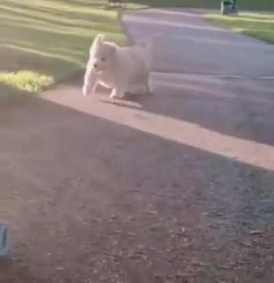 Every time I'm sad this always puts a smile on my face