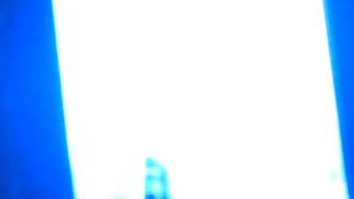 Who's Petting My Cat?