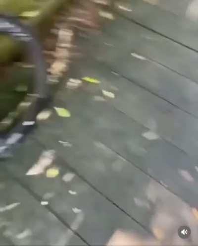 nah i’m crying😭