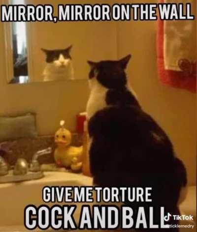 Mirror mirror, on the wall...