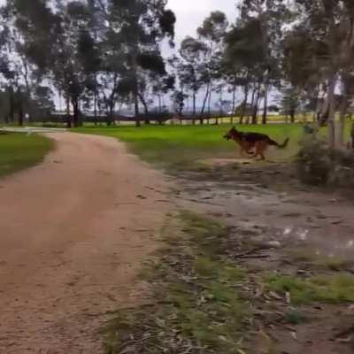 He's full of pure joy