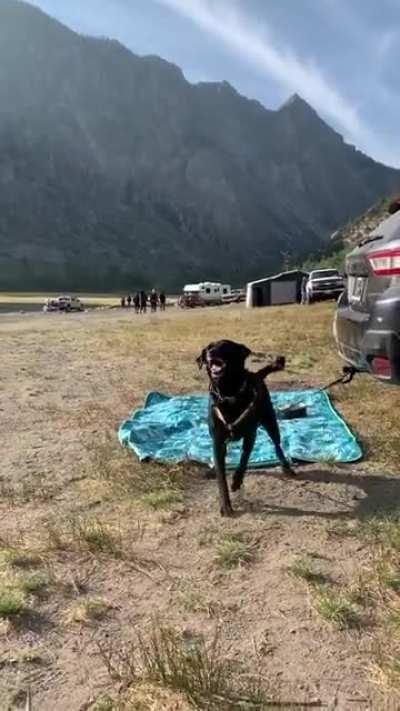 Breakfast AND camping?!