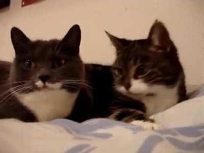 Че за херня была сейчас? Ооо...