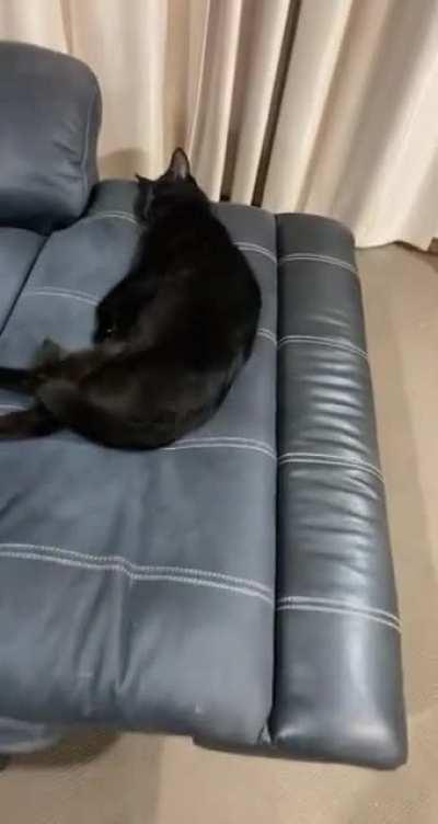 Absolutamente ninguém:a minha mãe acordando: