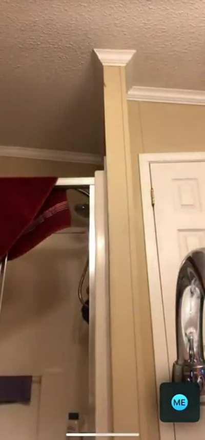 is this still a mystery? :( someone please tell me they found a source