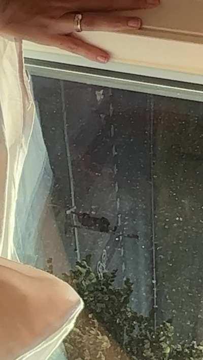 Fucking in our hotel window in Berlin - Do you think that guy was watching us? 😈