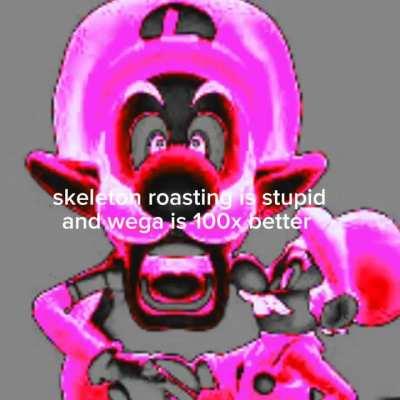 ihaveihaveihave: skibid wega riblix