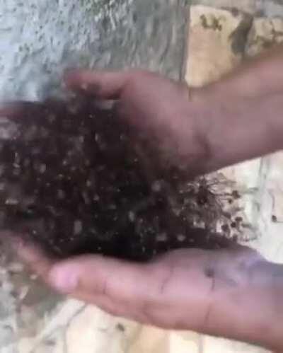 Thanks I hate the fake fur