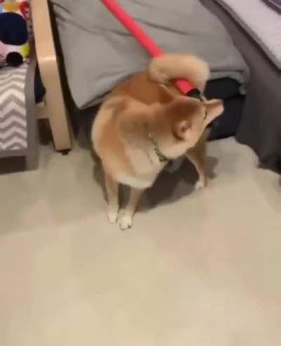 reminded me of Sif lol