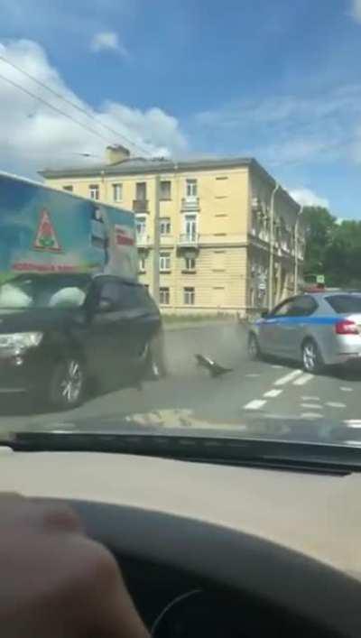 I am not even mad he ran away. They are useless!