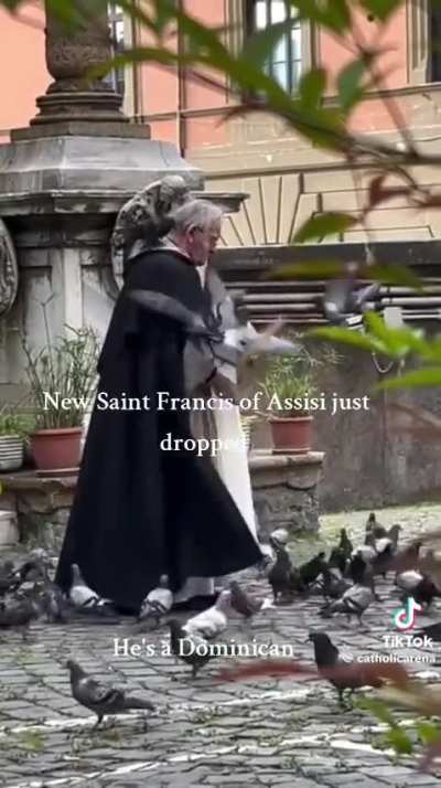 New Saint Francis dropped