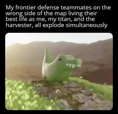 Not a care in the world