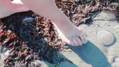 Barefoot girl on beach crushing jellyfish. Her feet aren't that great but the action is good. Found this one in an obscure place on YouTube or something where it was posted by whoever shot the video I assume.