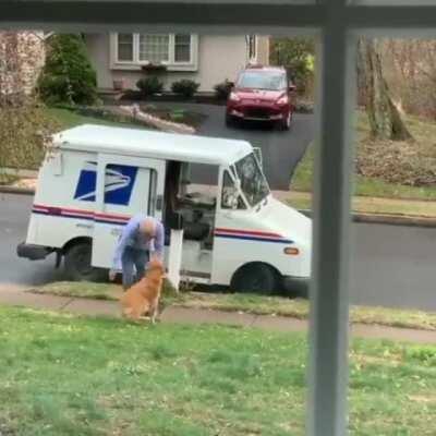 She loves playing with the mailman