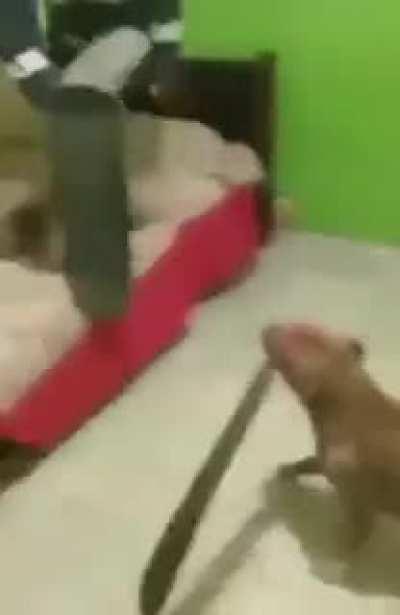 Furry por# +18 Eipril