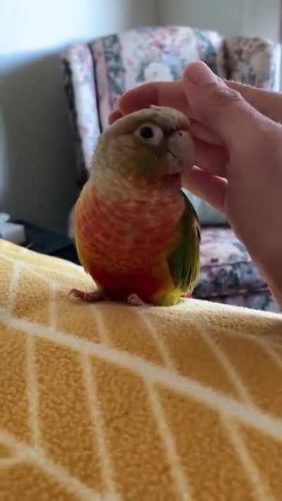 If you don't come any closer.