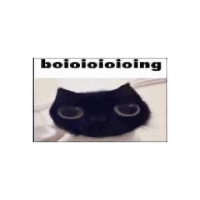 I JUST TURNED FIFTEEN LET'S GOOO