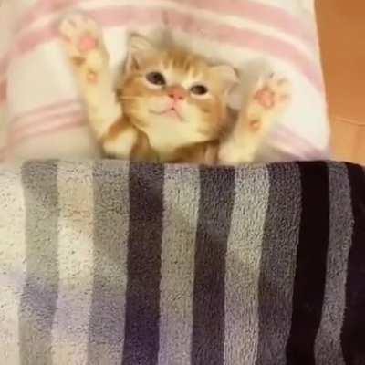 I am ready for bed now