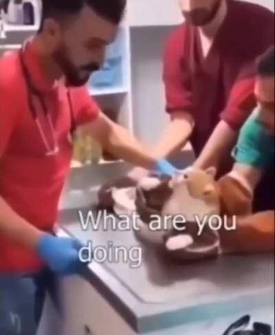 You're taking my what