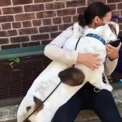 HeLlhOUnd brUtALLy dEvOUrIng InnOcEnt yOUng wOmAn