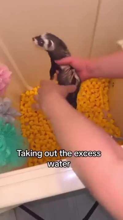 ÐÐ°Ðº Ð¿Ð¾Ð¼ÑÑÑ ÑÐ¾ÑÑÐºÐ°