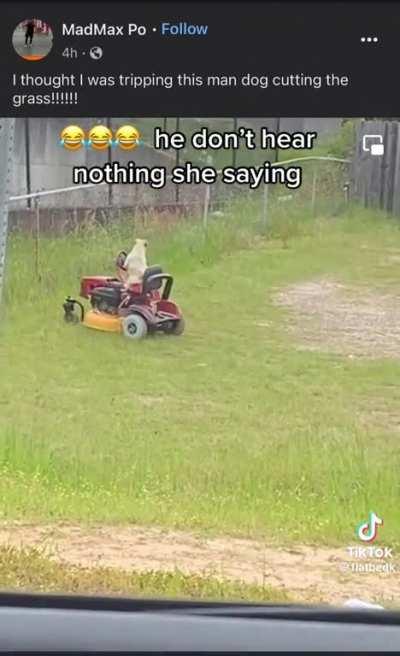 Dog food doesn't grow on trees