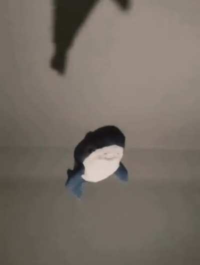 I was called here by an unknown benefactor, salutations.