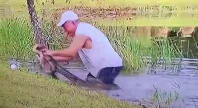 Guy Saves Puppy from Being Eaten by Alligator and Never Drops His Cigar