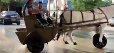 Modern day chariot has a lot of horse power